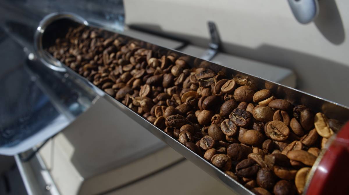 coffee beans roasted in a solar cooker