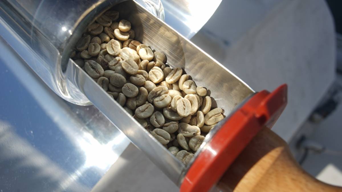 green coffee beans