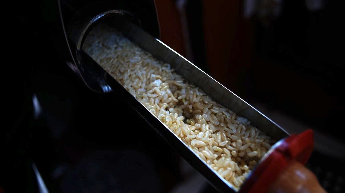 solar-cooked brown calrose rice