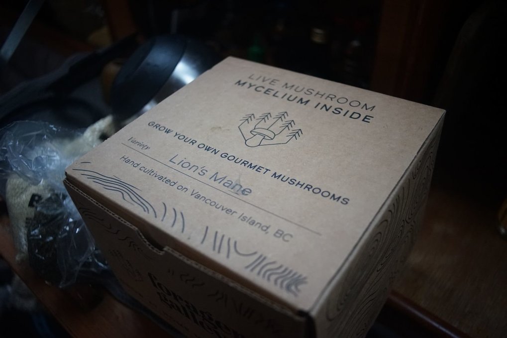 A lions made mushroom growing kit from West Coast Forager A cardboard box with the words: Live mycelium inside, grow your own gourmet mushrooms, lions made mushroom, handcultivated on Vancouver Island