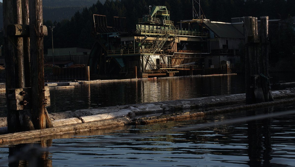 log company