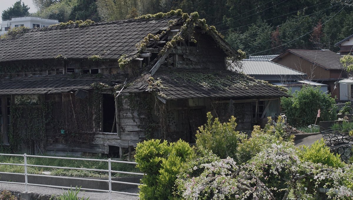 an abandoned traditional japanese house a photo of an abandoned wooden house in japan, with moss growing on its roof
