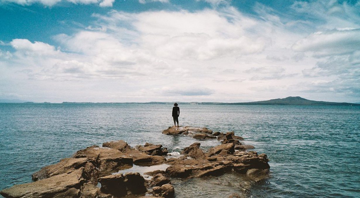 faun by the sea our friend faun somewhere near auckland