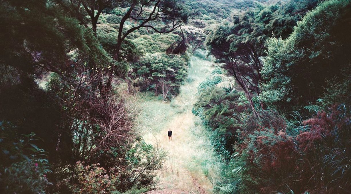 rek on Waiheke island a tiny rek amongst breathtaking greenery and hills