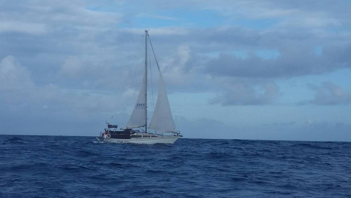Pino sailing at sea from the perspective of Maestral pino on the ocean as seen from Maestral