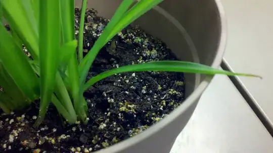 Photo of plant and mold