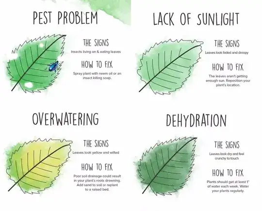 read your leaves