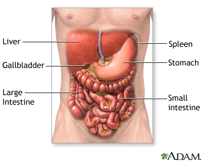 Abdominal exploration - series