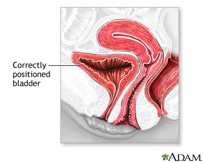 Procedure, Part 1 Procedure, Part 1