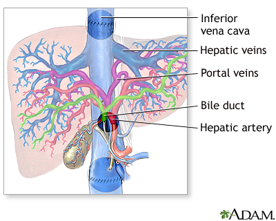 Procedure Procedure