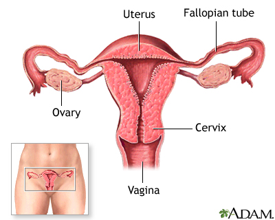 Barrier methods of birth control - Series Barrier methods of birth control - Series