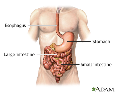 GI bleeding - series - Normal anatomy GI bleeding - series - Normal anatomy