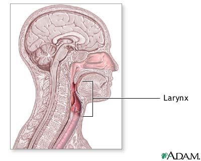 Laryngoscopy - series Laryngoscopy - series