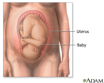 C-Section - Series C-Section - Series