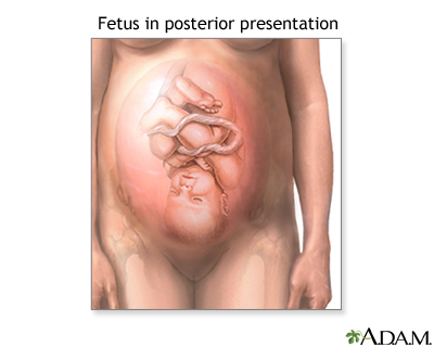 Other presentations Other presentations