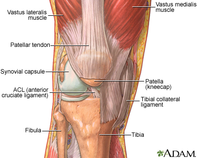 The structure of a joint The structure of a joint