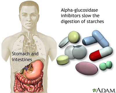 Alpha-glucosidase inhibitors Alpha-glucosidase inhibitors