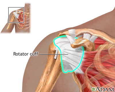 Normal rotator cuff Normal rotator cuff
