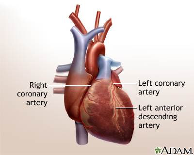 Heart bypass surgery - series - Normal anatomy Heart bypass surgery - series - Normal anatomy