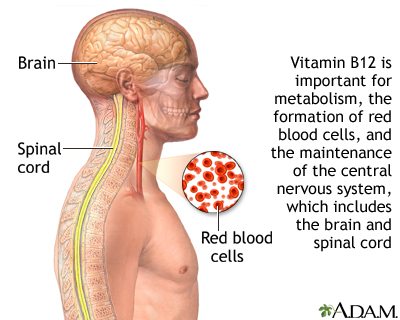Vitamin B12 benefits Vitamin B12 benefits