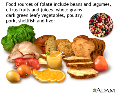 Folic acid source Folic acid source