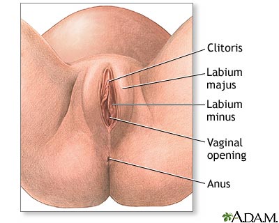 Episiotomy - series Episiotomy - series