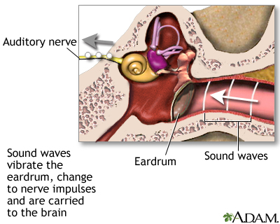 Sense of hearing Sense of hearing