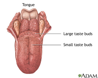 Tongue Tongue
