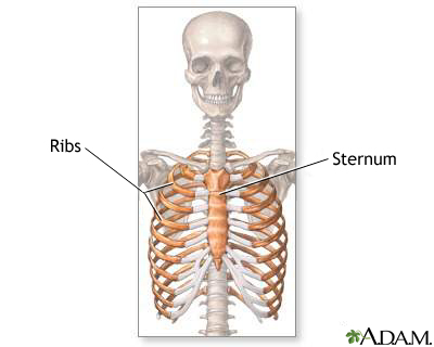 Ribcage Ribcage