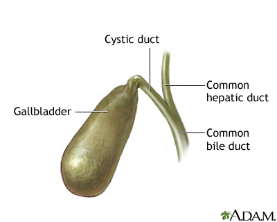 Gallbladder anatomy Gallbladder anatomy