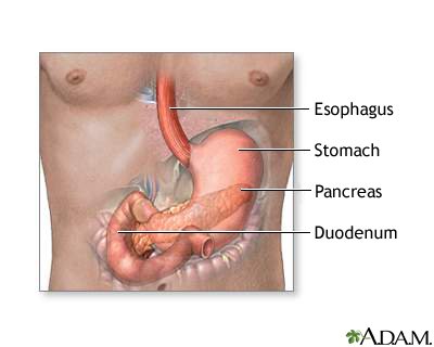 Secretin stimulation test Secretin stimulation test