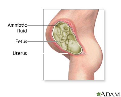 Amniotic fluid Amniotic fluid