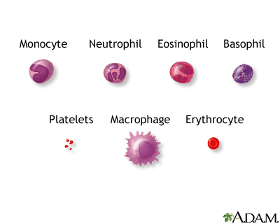 Blood cells Blood cells