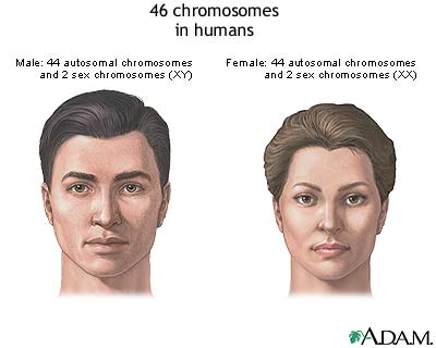Genetics Genetics