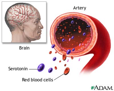 Serotonin uptake Serotonin uptake