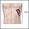 Spleen