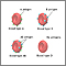 Blood types