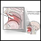 Buccal  smear - illustration