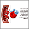 Cytochrome b5 reductase blood test