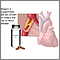 Vitamin E and heart disease
