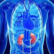 Adrenal Gland Cancer