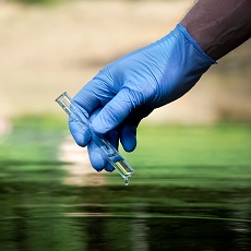 Cholera