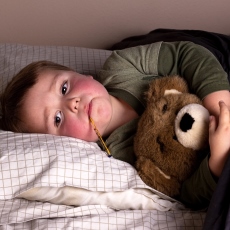 Fifth Disease