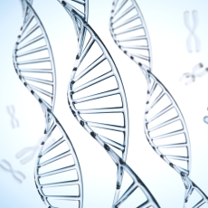 Fragile X Syndrome