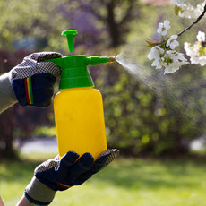 Pesticides