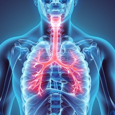 Tracheal Disorders