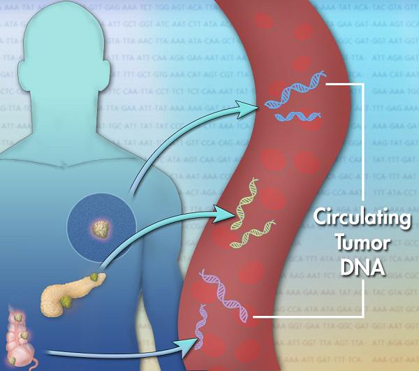 Illustration of DNA fragments in a blood vessel with arrows indicating the fragments originated from tumors in body organs.