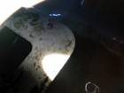 bowlclean