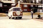 summer 1981
