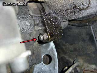 stater